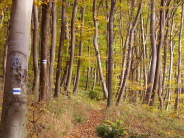 Blauer Weg